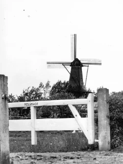 De Noordmolen naast hofstede Molenhof in Heinkenszand